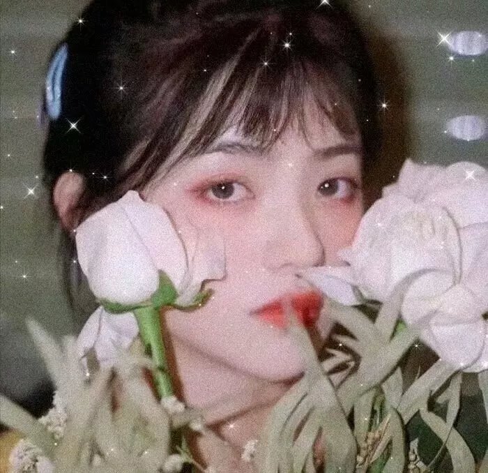 最后的德鲁伊:加尔姆战争