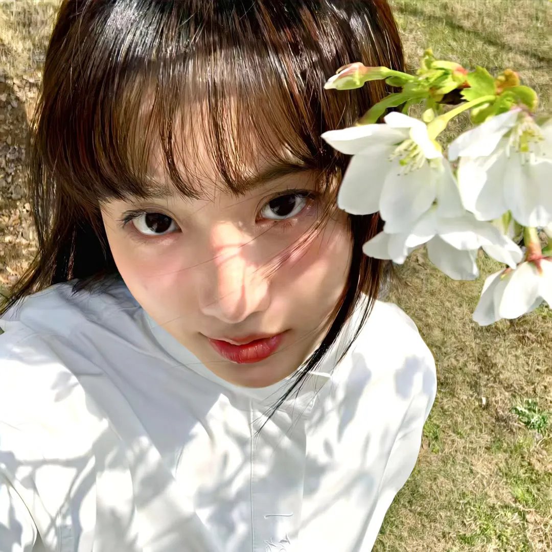 脂粉英雄